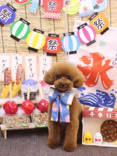 20240707モコちゃん